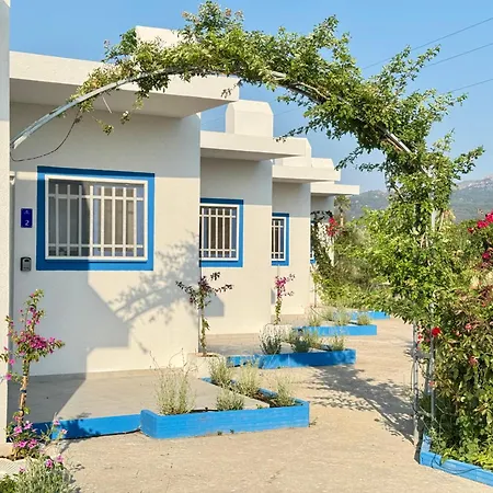 El Greco In Tigaki, Near The Sea - No 5