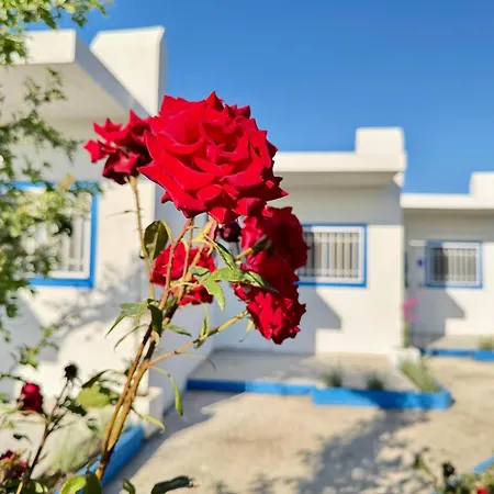 Διαμέρισμα Modern With Garden, Near - El Greco No 5 *
