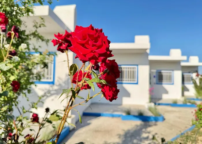 Apartment El Greco In Tigaki, Near The Sea - No 5 *