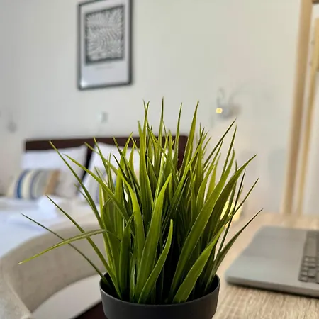 Modern With Garden, Near - El Greco No 5 Appartement